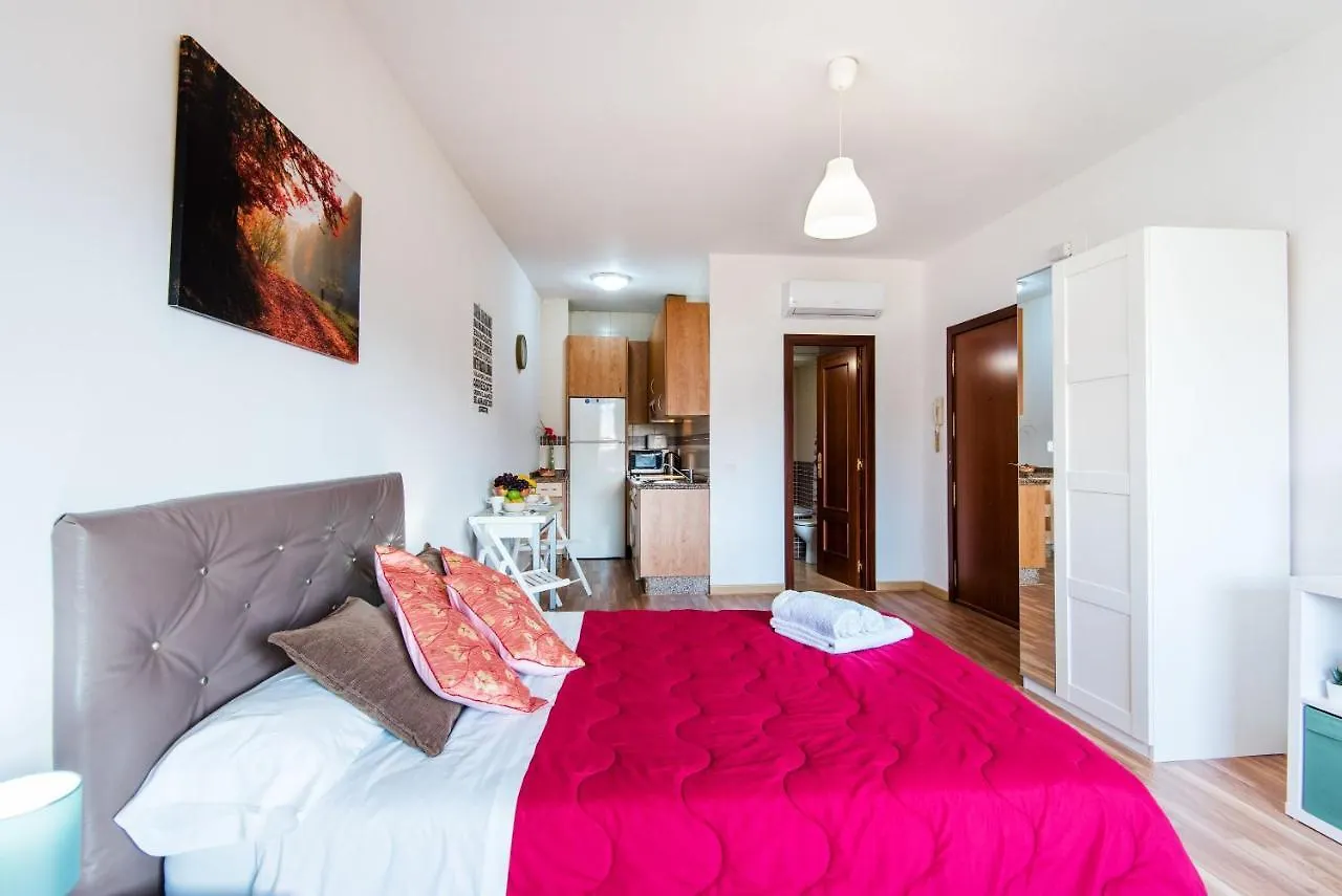 Апартаменты Loft Malagasol Испания